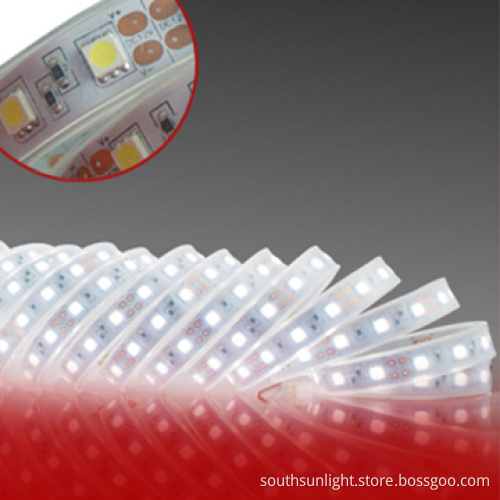 High Brightness SMD5050 60LEDs LED Rope Lighting with CE & RoHS